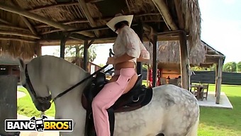 Rachel Starr Mostra Le Sue Abilità Di Cavalcare Su Un Cavallo E Un Pene