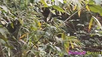 A Wild Encounter In The Countryside As A Vengeful Ex-Boyfriend Brutally Penetrates A Country Girl Until Climax